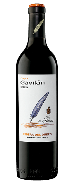 Cepa Gavilán 2019