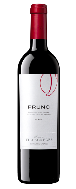 Pruno 2018